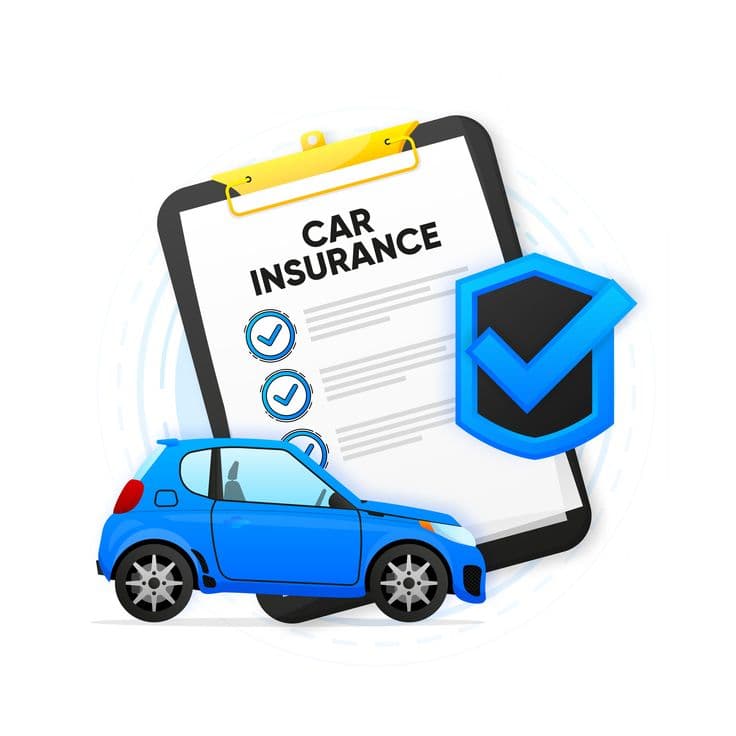 Insurance Basics: What You Need and Why